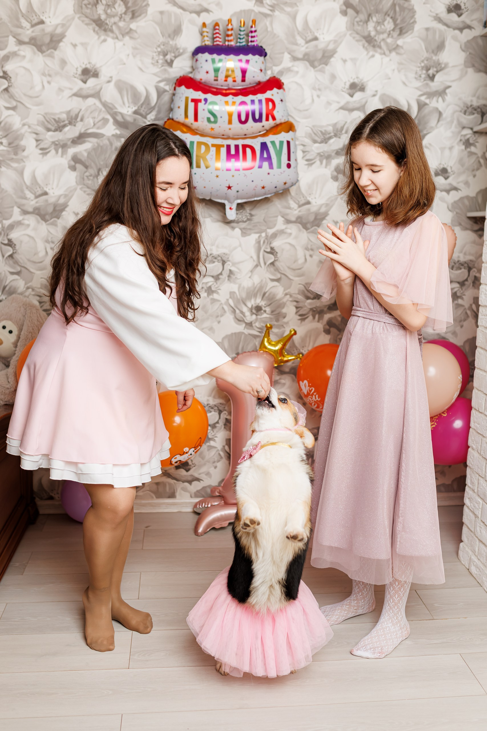 День рождения корги 🐕. Семейный и детский фотограф Комина Елена, Власиха, Одинцово
