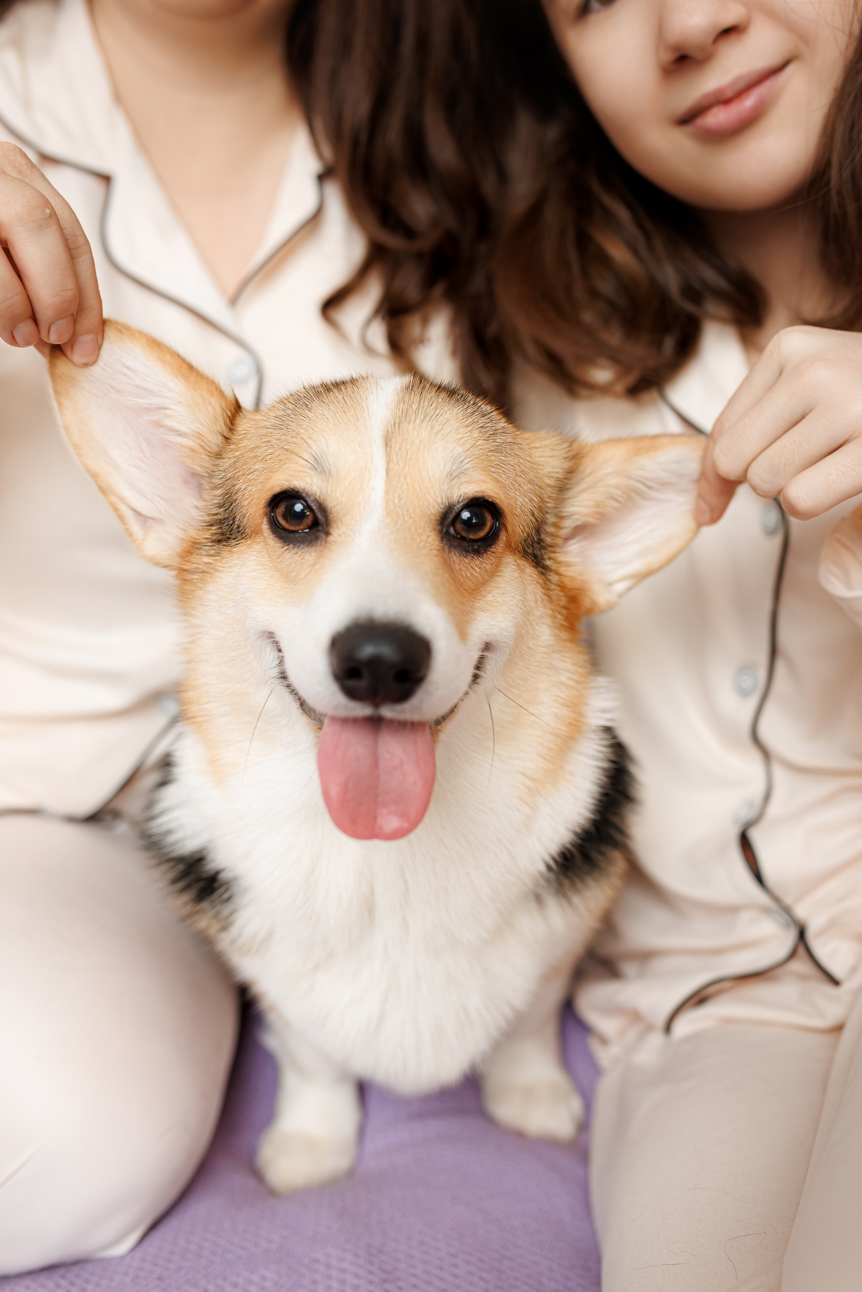 День рождения корги 🐕. Семейный и детский фотограф Комина Елена, Власиха, Одинцово