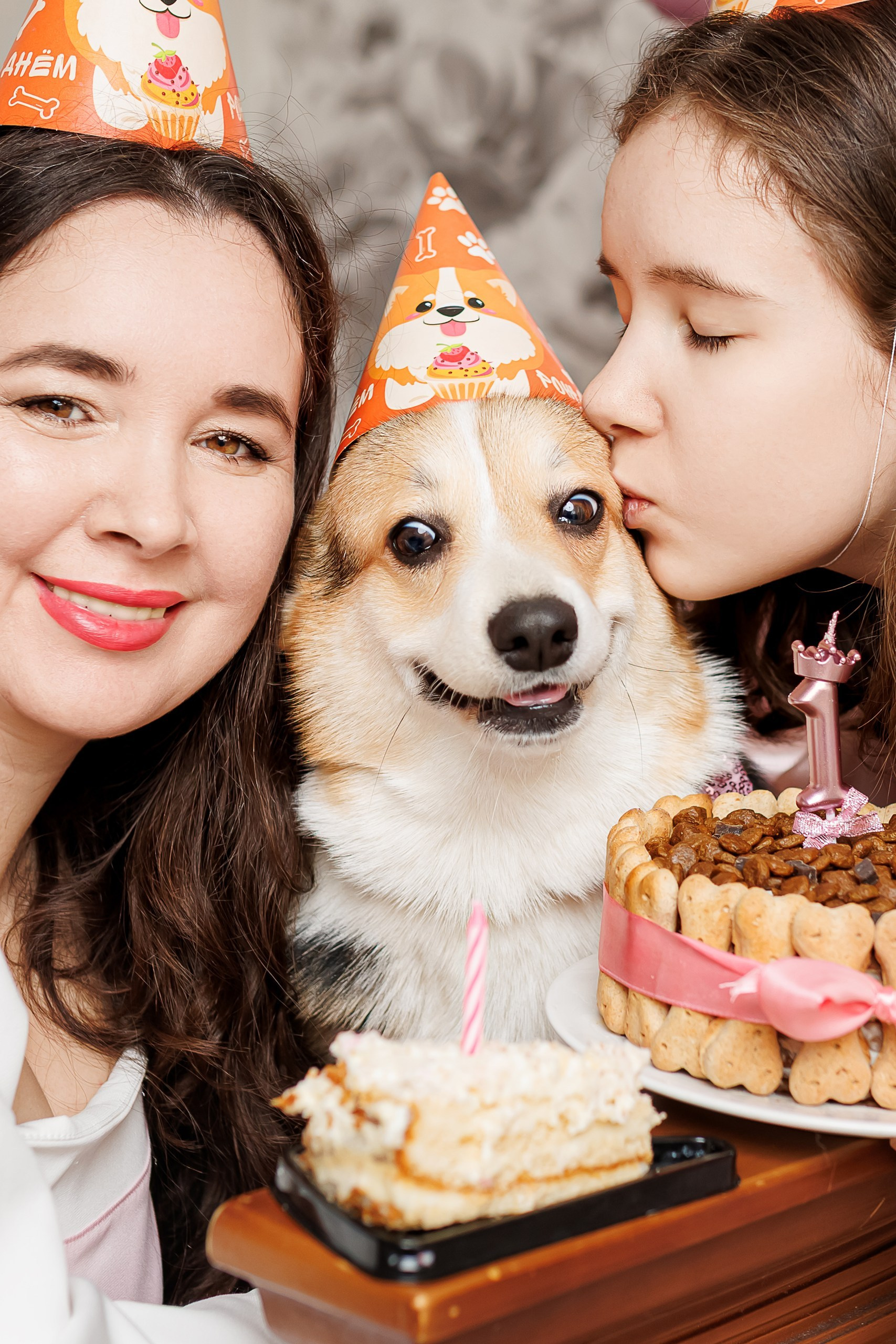 День рождения корги 🐕. Семейный и детский фотограф Комина Елена, Власиха, Одинцово