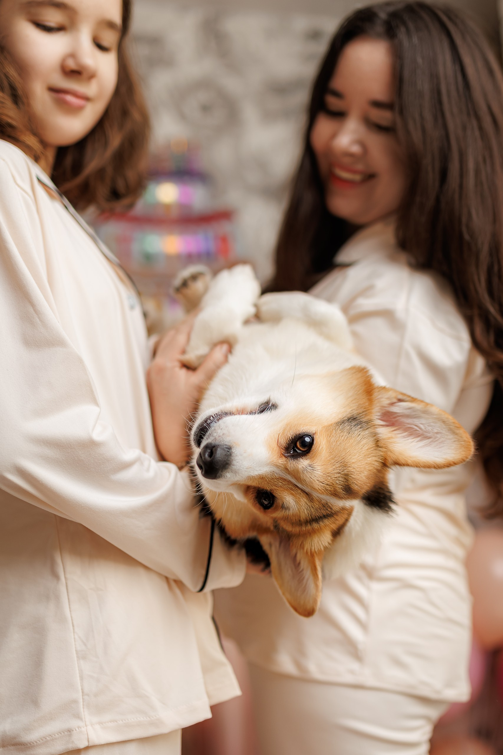 День рождения корги 🐕. Семейный и детский фотограф Комина Елена, Власиха, Одинцово