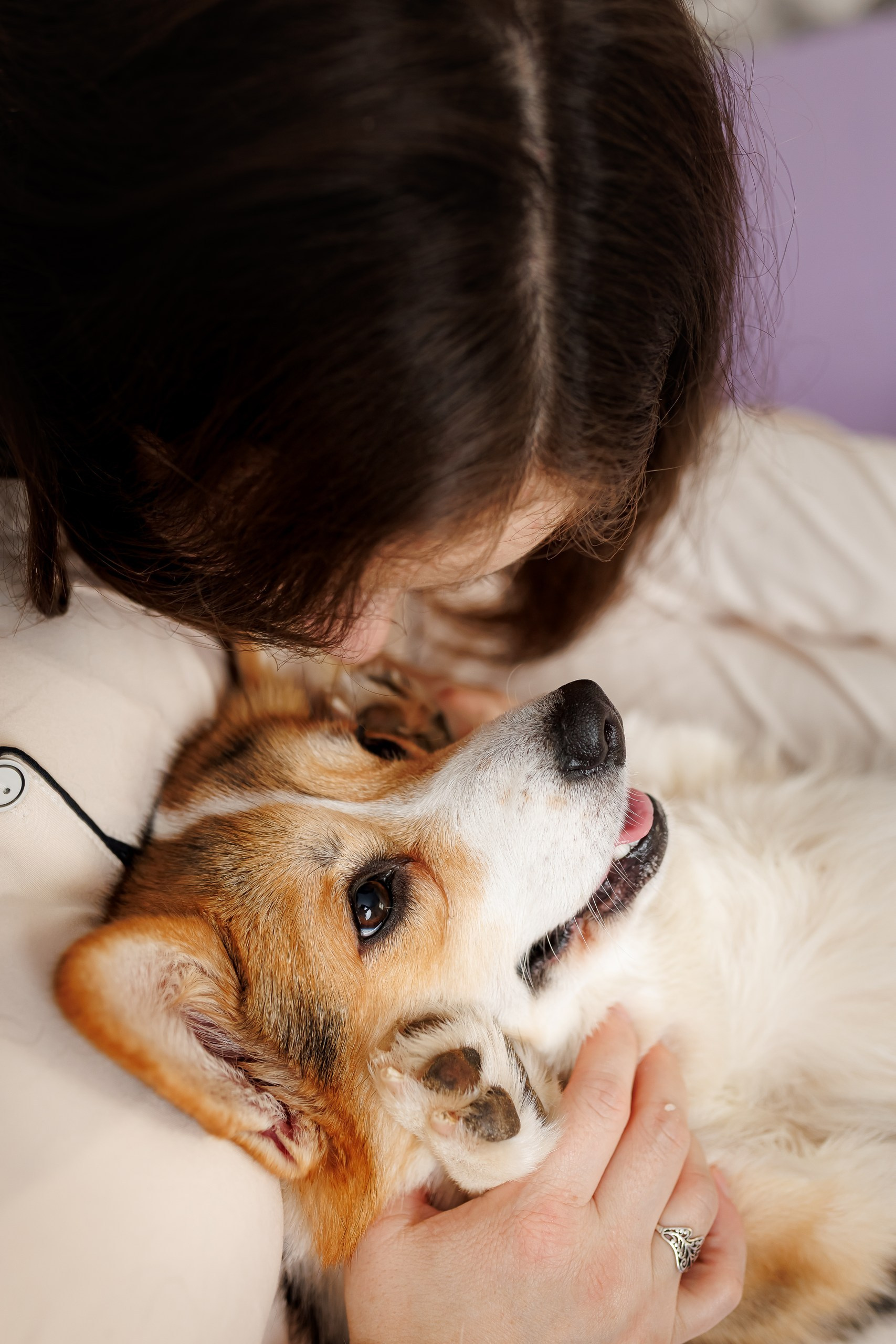 День рождения корги 🐕. Семейный и детский фотограф Комина Елена, Власиха, Одинцово