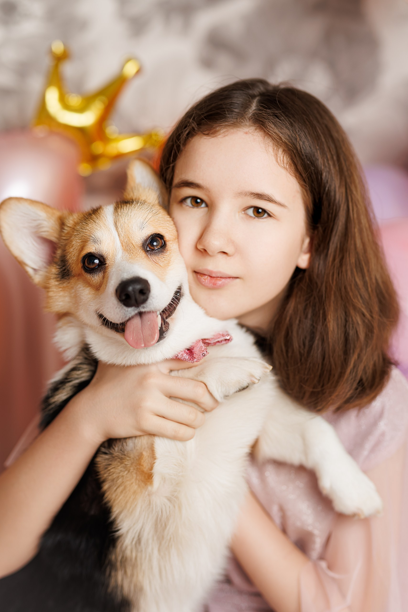 День рождения корги 🐕. Семейный и детский фотограф Комина Елена, Власиха, Одинцово
