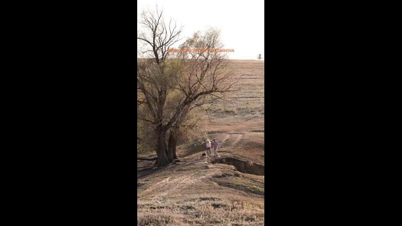 Прайс. Мила Астахова