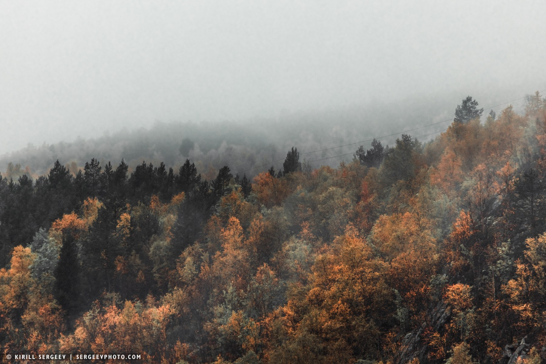 北極奧德賽. 攝影師 基里爾·謝爾蓋耶夫 |莫斯科