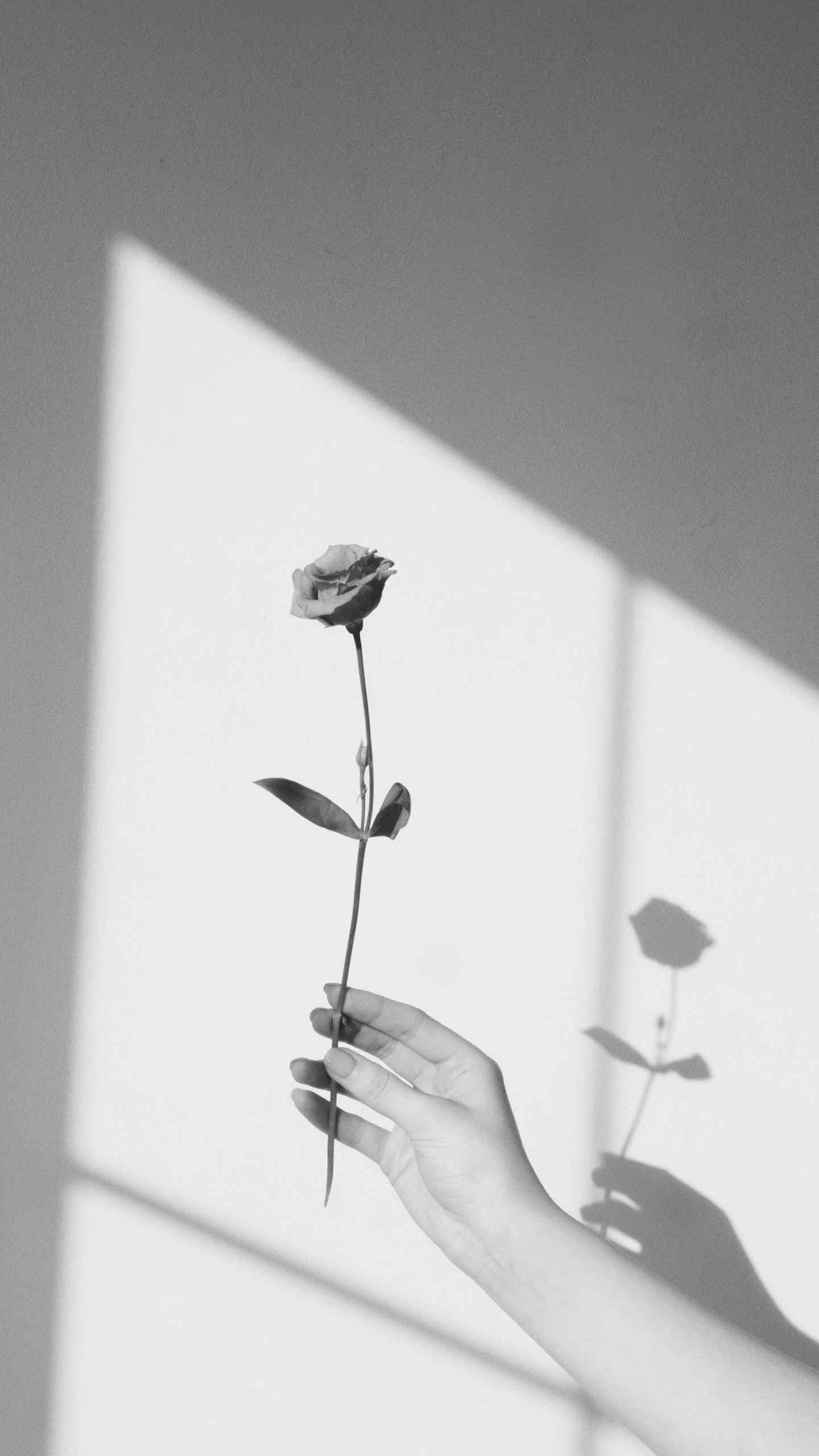 Event/Food Фотограф Стас Синельников