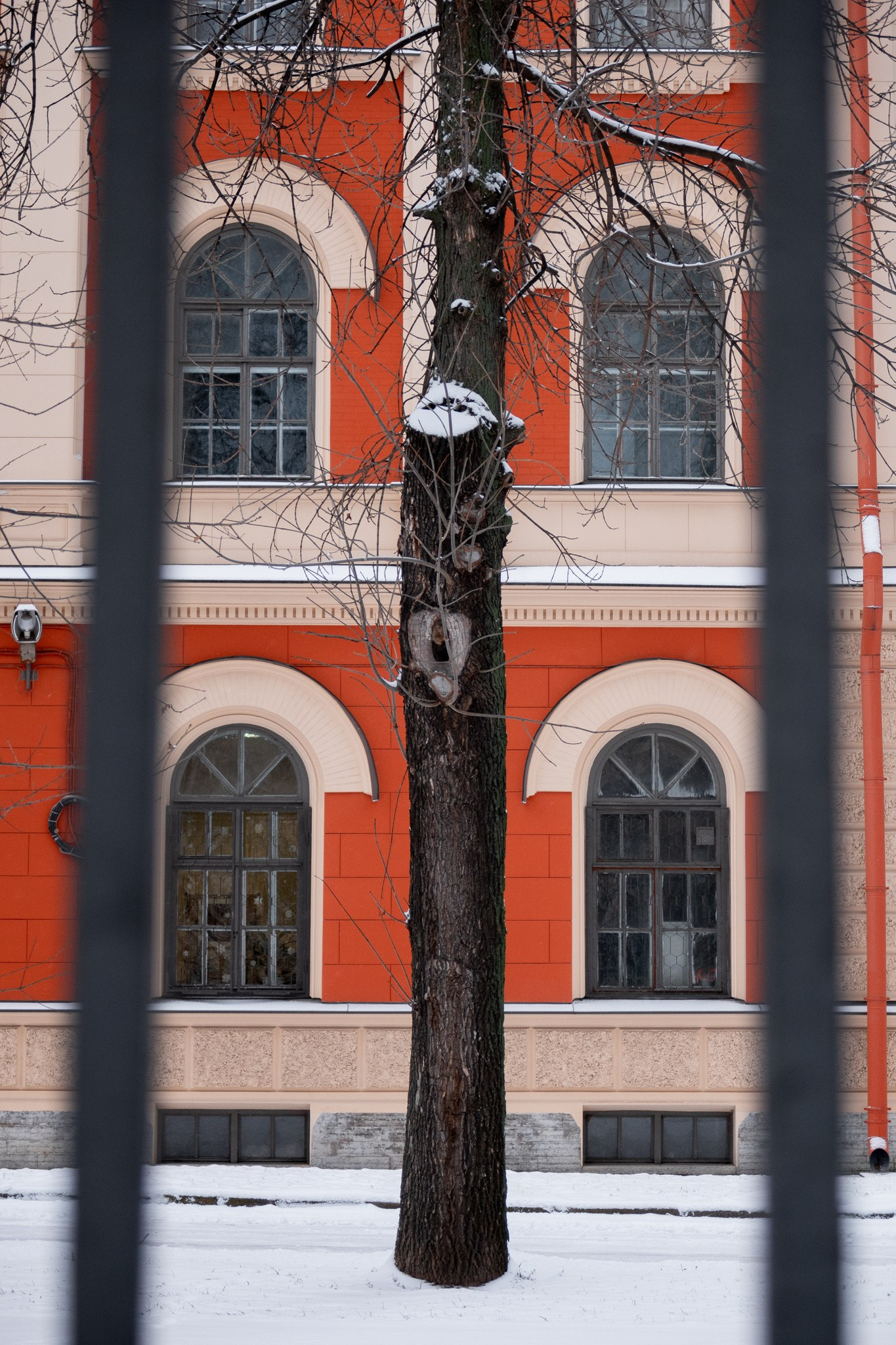 Новогодняя поездка в Санкт-Петербург. Павел Шарапов | Фотограф | Москва