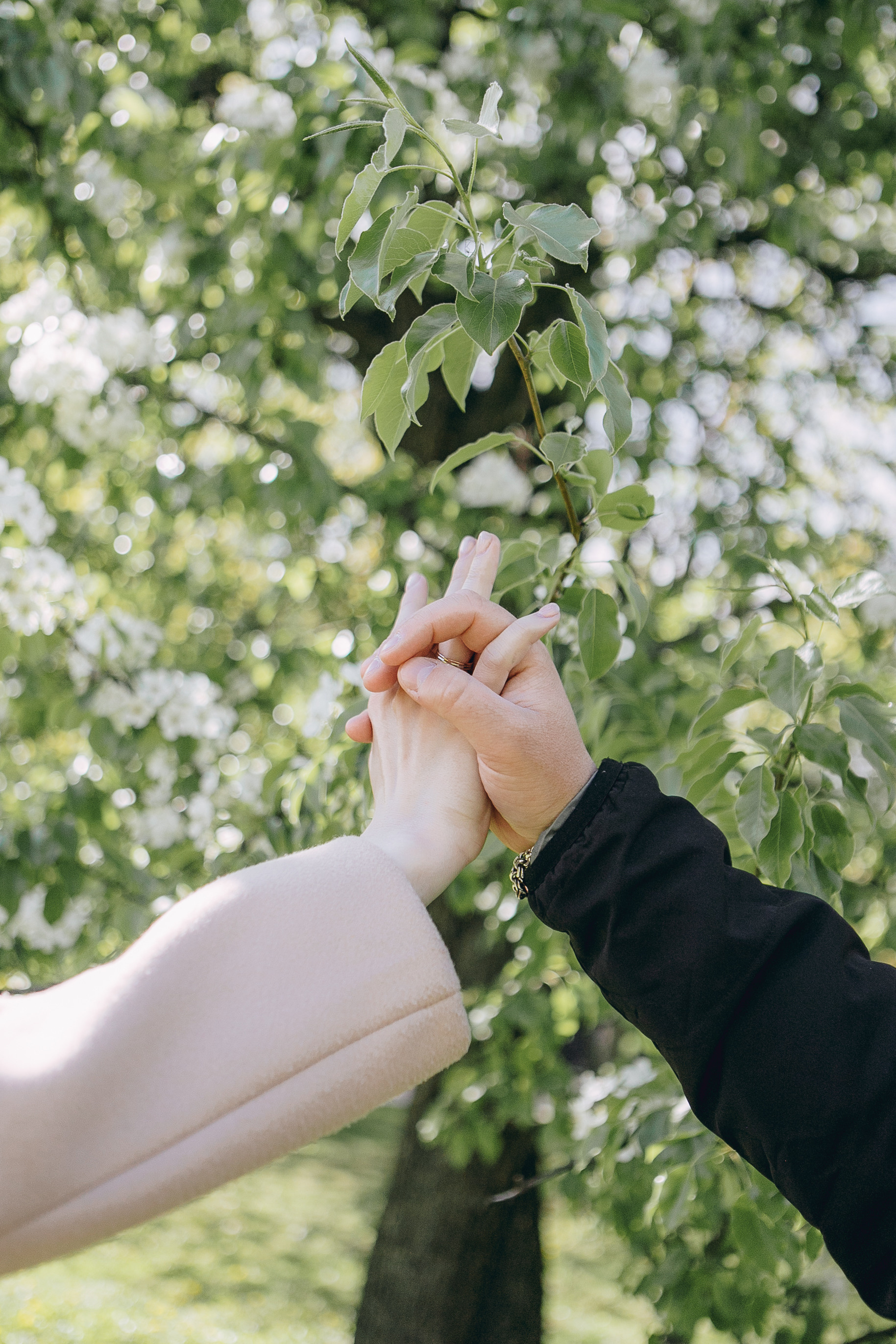 2025. Фотограф Анастасия Кулешова