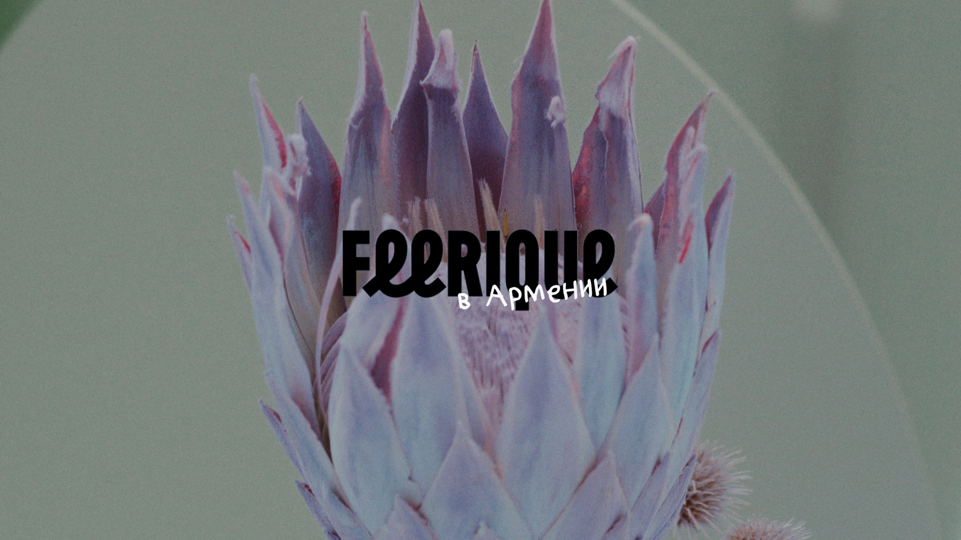 Свадебный видеограф Влад Ерин. Армения | Грузия | Европа |Мир