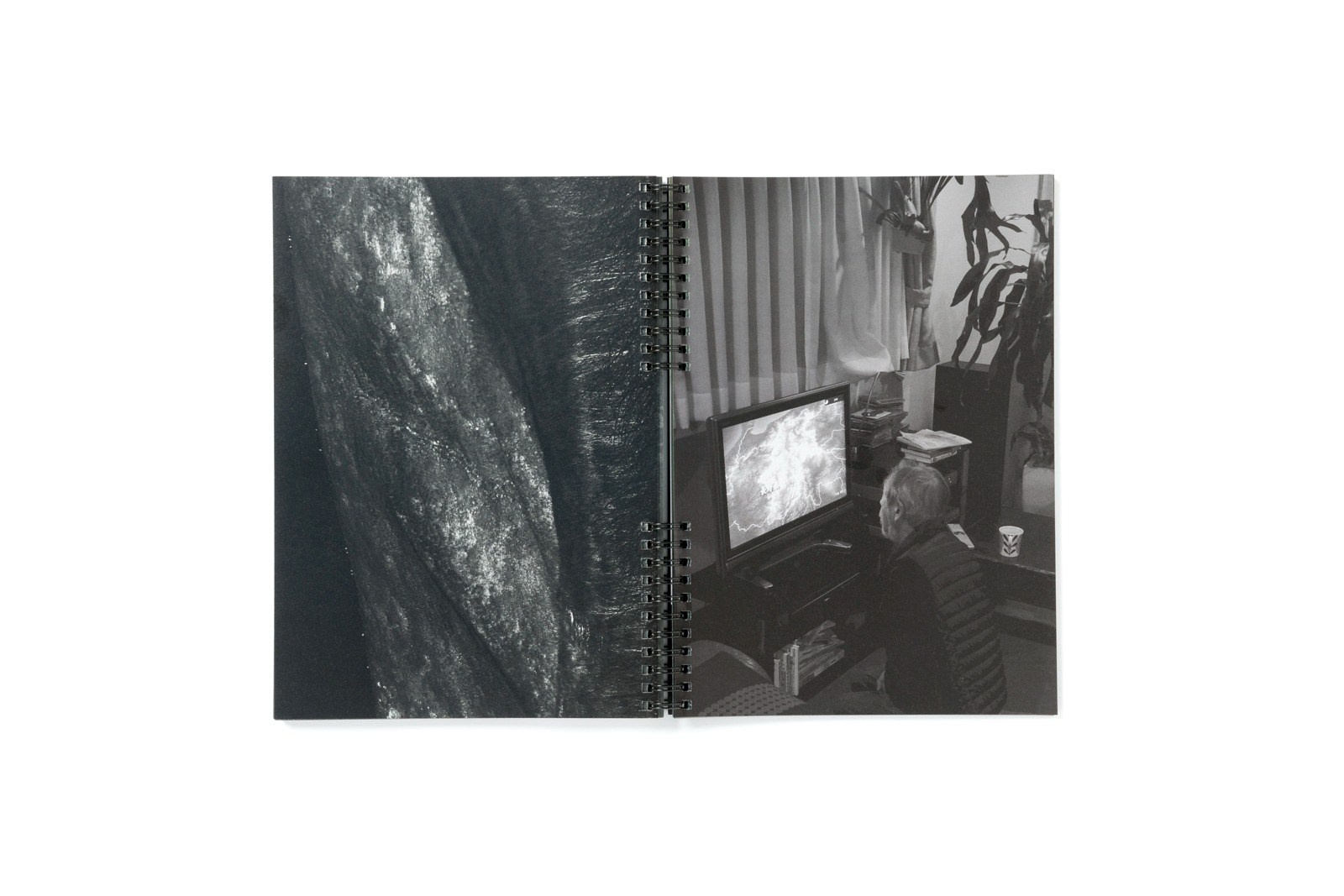 ИНТЕРВЬЮ С АВТОРАМИ: MOE SUZUKI. Самоорганизация Низина