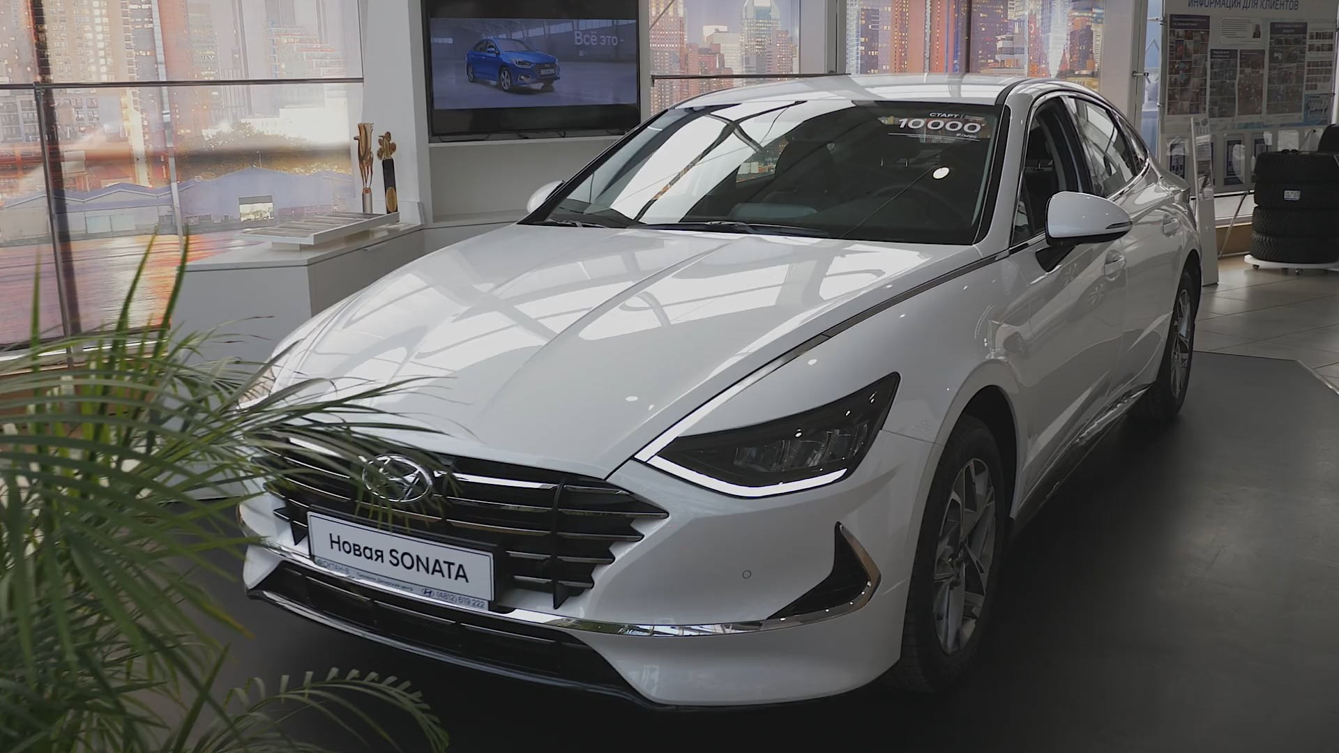 Коммерческая видеосъемка в Смоленске и Москве. Иван Грига: свадебный и коммерческий видеограф в Смоленске