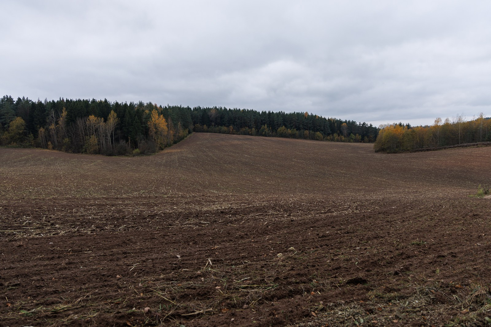 Прилепы, Беларусь. Юлия Леонова — фотограф, визуальный художник Минск