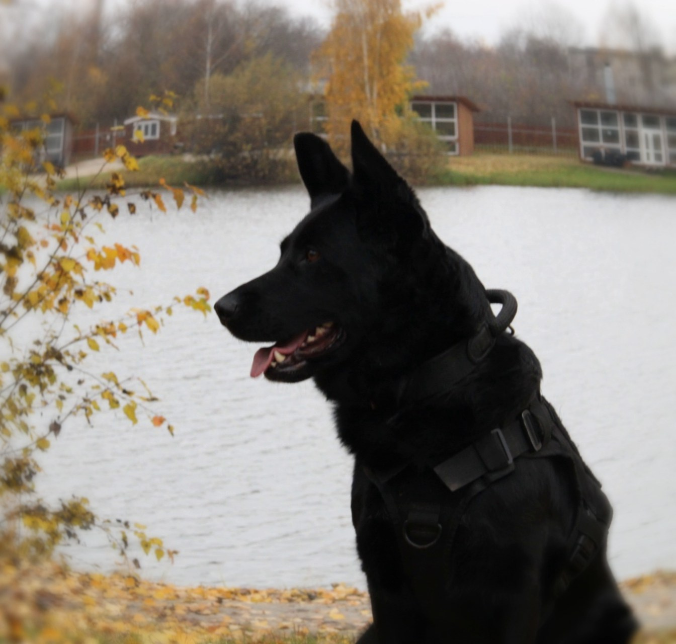 Катя Попова|ЛайфСтайл фотограф