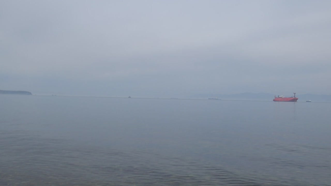 КУКУМАРИЯ-25. ПЕРСОНАЛЬНЫЙ ВЫСТАВОЧНЫЙ ПРОЕКТ. Художник, преподаватель дизайна, начинающий сценограф и режиссёр во Владивостоке