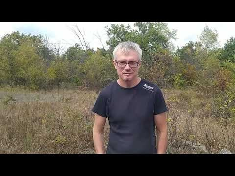 Видеотека. Марина Рыбкина — Глубинная психология