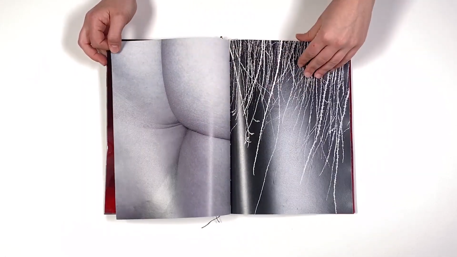 Фотокнига «Solstice» художницы Джулии Боле (Julia Bohle). Private image