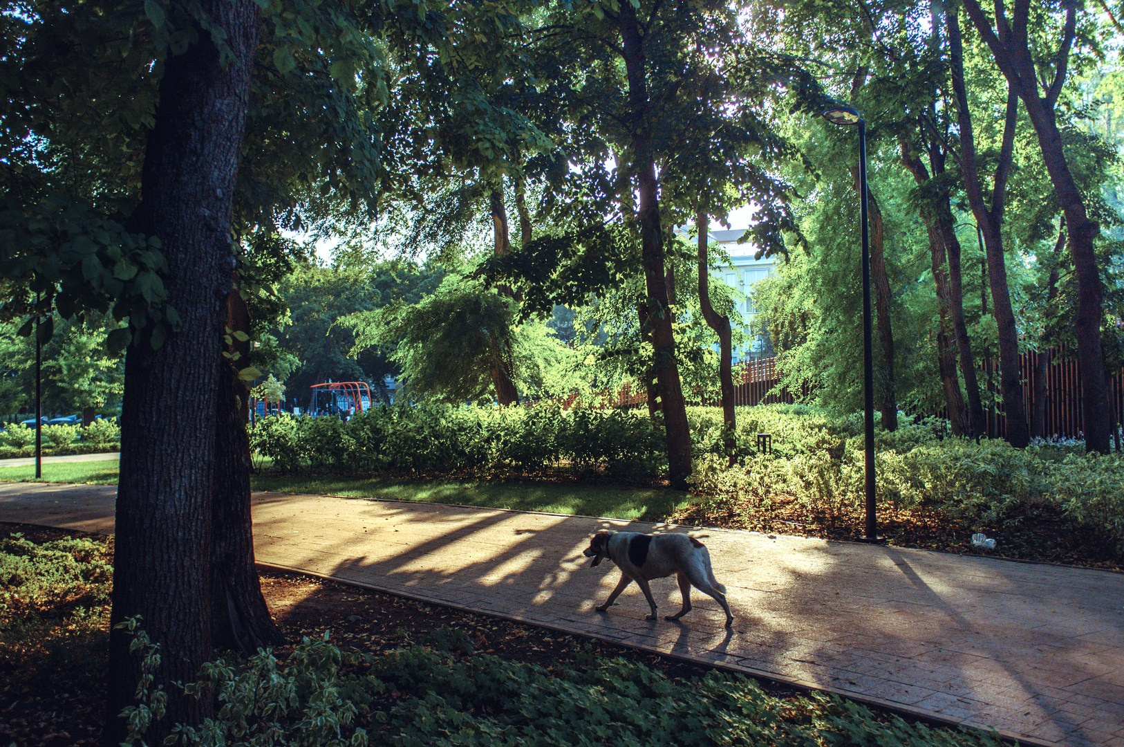 Руслан Шувалов (поэтограф)