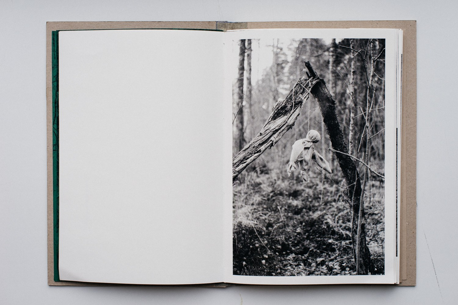 About forest, traps and sorrow. Main