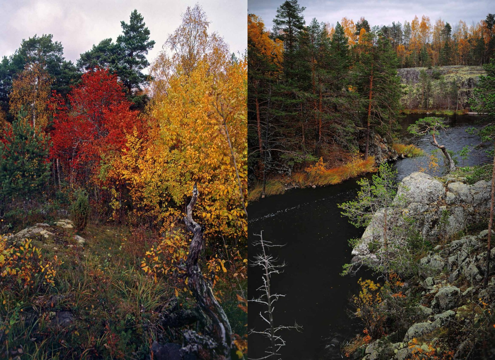Коллекционные альбомы. ВАДИМ ГИППЕНРЕЙТЕР — ВЕЛИКИЙ ФОТОГРАФ ЗЕМЛИ РУССКОЙ
