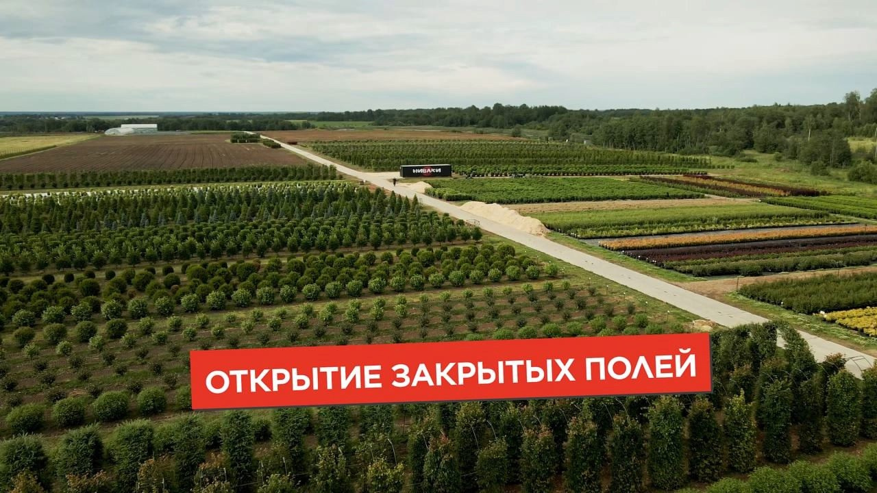 Репортажная видеосъемка заказать в Москве | TOLBATOV PRODUCTION