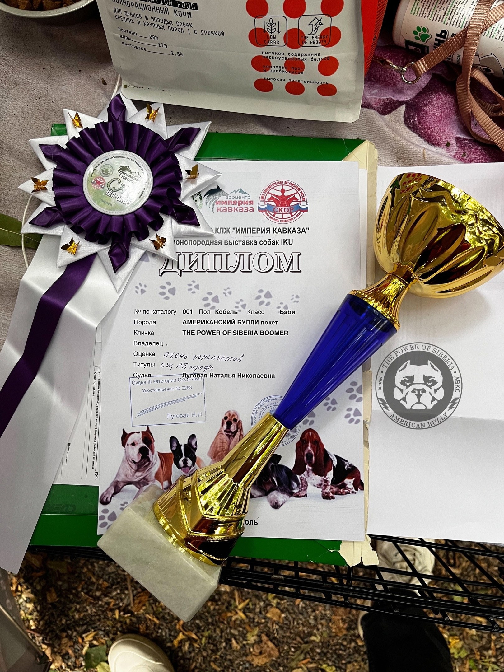 американский булли Юг, американский булли южный округ, лучшие американские булли на юге россии, топовые булли в россии, топовые американские булли в россии, ТОП булли, Топ американский булли, самые крутые американские булли, булли клаccик, булли покет, булли стандарт, булли экзот, булли xl, амeриканский булли, щенок булли, американский булли питомник, американский булли купить, американский булли щенок, американский булли москва, американский булли ростов-на-дону, американский булли краснодар, американский булли ставрополь, американский булли волгоград, американский булли семфирополь, американский булли ставрополь, американский булли сочи, американский булли воронеж, американский булли питер, американский булли санкт-петербург, американский булли Казань, американский булли Новосибирск, американский булли Челябинск, американский булли Ростов, американский булли Луганск, американский булли Донецк, американский булли покет, американский булли классик.американский булли ,американский булли щенки , американский булли купить ,американский булли фото , американский булли покет , собака американский булли , порода американский булли , американский булли цена , купить щенка американского булли ,американский булли характеристика , порода собак американский булли, питомник американских булли , американский булли отзывы, американский булли стандарт , американский булли отзывы владельцев, американский булли xl , россия американские булли , американские булли москва , американский булли вес , американский булли цена щенка, американский булли породы собак сша , американский булли размеры , американский булли классик , американский булли классика , американский булли характеристика породы , авито американский булли , сколько стоит американский булли , окрасы американских булли , американский булли виды , американский булли типы , американский булли цена в россии , американский булли экзот , американский булли микро , американский булли мини , собака американский булли фото , американский булли спб , американский булли характер , минусы американского булли , купить американского булли в москве , американские булли сколько щенков , плюсы американского булли , американский булли плюсы и минусы , взрослый американский булли , американский булли фото цена , американский булли фото щенков , американский булли крым , сколько живут американские булли , американский булли описание , американский булли купить авито , американский булли ростов , собачий питомник , питомник для собак , собаки , порода , щенки, щенок для детей, щенок для ребенка, щенок для семьи, собака для ребенка, питомник BULLY LOVERS, питомник THE POWER OF SIBERIA, питомник Ultimate Bully, питомник FORTIS FORTUNA VALIDI, питомник EXTREME BEAR, питомник American Dream, Питомник RUSSIAN BULLS, питомник ТАРУС & BULLY LAND, питомник Bully Ranch P&N, Питомник ANTREABULLS, питомник Ambully House, питомник Mar Nero, питомник Alfabulls, #micro #microbully #ambully #ambullys #ambullylife #ambullyforlife #ambullyworld #ambullylove #ambullylover #ambullylovers #ambullyloversfans #americanbullybreed #americanbullykennelclub #американскийбуллипитомник #bullies #bulliesallday #bulliesofig #bulliesofinsta #bulliesofinstagram #instabullies #bullieslife #bullymag #americanbully_feature #americanbullydog #tribullies #americanbullyblue #americanbullytricolor #bullystick #americanbullyStud, американский булли,американский булли щенки,американский булли купить,американский булли покет,американский булли фото,собака американский булли,порода американский булли,американский булли цена,американский булли купить щенка,американский булли характеристика,порода собак американский булли,американский булли отзывы,питомник американских булли,американский булли стандарт,американский булли отзывы владельцев,россия американские булли,американский булли виды,американский булли цена щенка,сколько стоит американский булли,американский булли цена в россии,американские булли москва,американский булли xl,американский булли размеры,типы американских булли,американский булли мини,американский булли вес,авито американский булли,американский булли породы собак сша,американский булли микро,американский булли характеристика породы,американский булли экзот,американский булли классик,американский булли классика,собака американский булли фото,американский булли характер,минусы американского булли,американские булли спб,американский булли окрасы,американский булли купить в москве,американские булли сколько щенков,плюсы американского булли,американский булли видео,американский булли плюсы и минусы,американский булли щенок фото,взрослый американский булли,американский булли девочка,американский булли описание,сколько живут американские булли,американский булли покет купить,американский булли крым,american bully,american bully ru,american bully ru shchenki,https american bully ru,https american bully ru shchenki,american bully xl,american bully питомник,american bully dog,american bully kennel,american dream bully,american bully pocket,american bully kennel club,all american bully фильм смотреть,american bully xxl,reddit american bully,american bully ru shchenki html,american bully wise,celina innovations crochet american bully part,https american bully ru shchenki html,american bully classic,питомник американских булли,питомник собак американский булли,питомник американских булли в крыму,питомник собак в крыму американские булли,питомник в крыму американский булли последние,питомник американских булли в москве,американские булли купить питомник,питомник американских булли в россии,питомник американских булли покеткупить щенка американский булли питомник,американские булли цена питомники,питомник американских булли в спб,питомник американских булли яна,купить американского булли в москве питомник,питомник американских булли в москве и московской,официальные питомники американских булли,крым питомник американских булли яна,булли американский купить питомник цена,москва и область питомники американских булли,питомник американских булли яна и гоша,американские булли подмосковья питомник,американский булли стандарт питомник,питомник американских булли екатеринбург,питомник американских булли ростов,лучшие питомники американских булли,питомник собак крым американский булли яна,яна питомник собак американский булли,американский булли купить в спб питомник,американский булли питомник львиное сердце уфа,американский булли питомник львиное сердце уфа вк,американский булли лучший питомник россии,американский булли питомник краснодар,американский булли купить спб щенка питомник,американский булли покет питомник москва,американский булли сайт питомник,питомник американский булли официальный сайт,питомник американских булли в челябинске,питомники американских булли в россии список лучших,питомник собак американских булли серпухов,питомник собак дзен американский булли,американский булли xl питомник,питомник американских булли в талдоме,питомник и цена американ американский булли,фаворит гигант питомник американских булли,американский булли купить,американский булли купить щенка,американский булли купить в москве,американский булли покет купить,американский булли купить щенка в москве,американский булли купить авито,купить американский булли цена,купить американского булли в спб,купить собаку американский булли,американский булли купить щенка цена,американский булли покет купить щенка,американский булли купить в беларуси,американский булли стандарт купить,американский булли купить москва московская область,купить американского булли в россии,купить американского булли в московской области,американский булли купить в екатеринбурге,американский булли купить в новосибирске,американский булли купить щенка в спб,