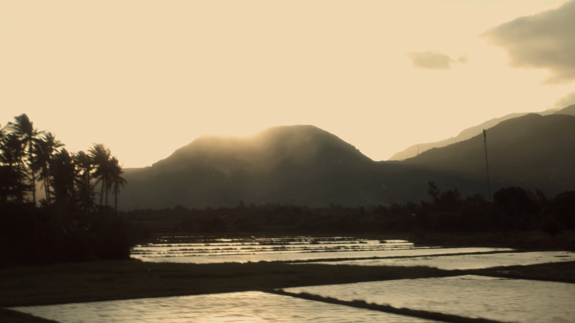 Luts Universal. Видеограф Москва