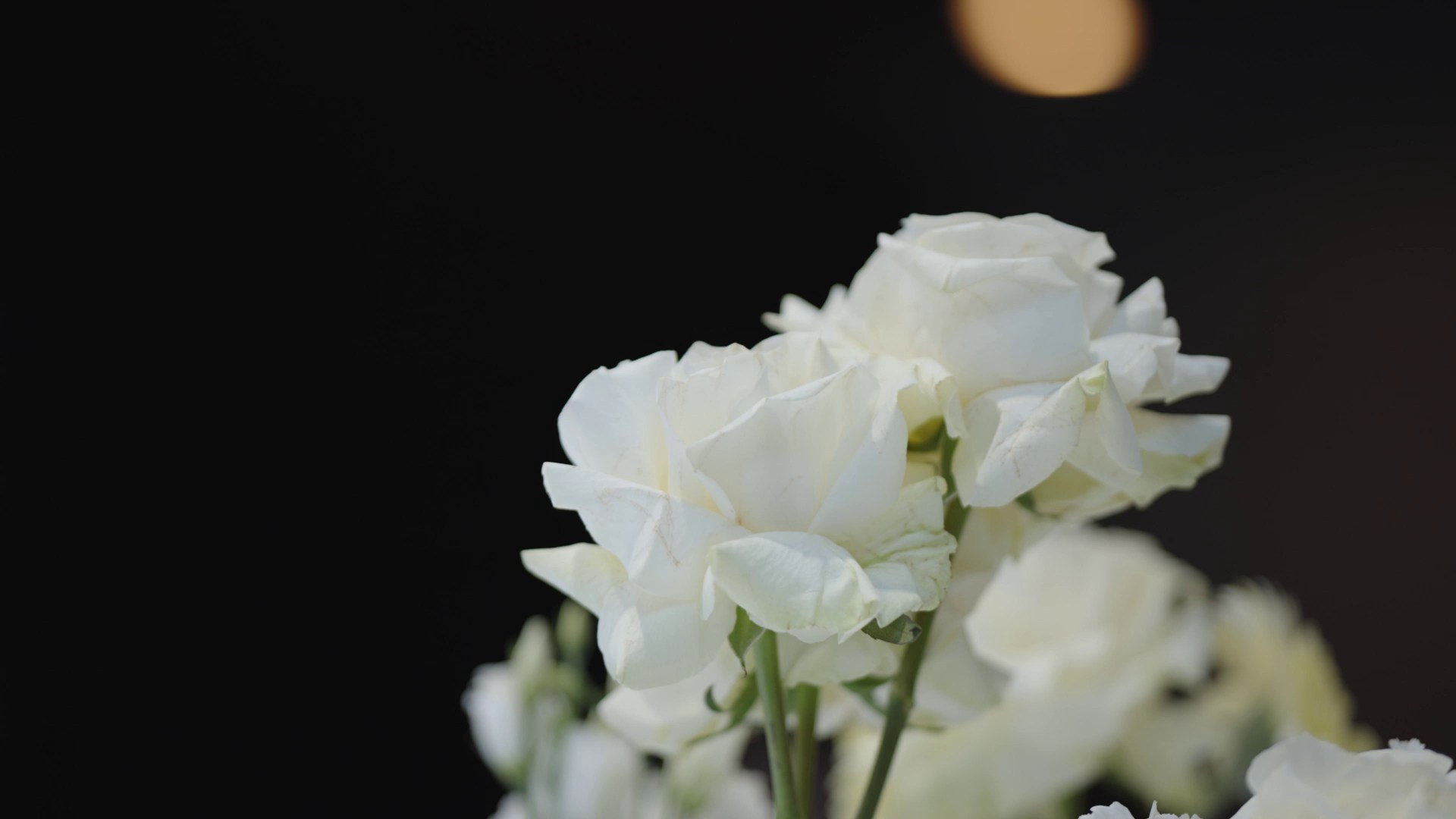 ПАРА ОПЕРАТОРОВ