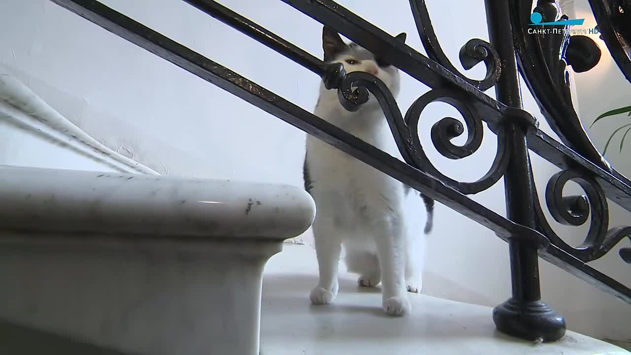 Посещение интерьеров особняка Шрёдера. Дом Шрёдера