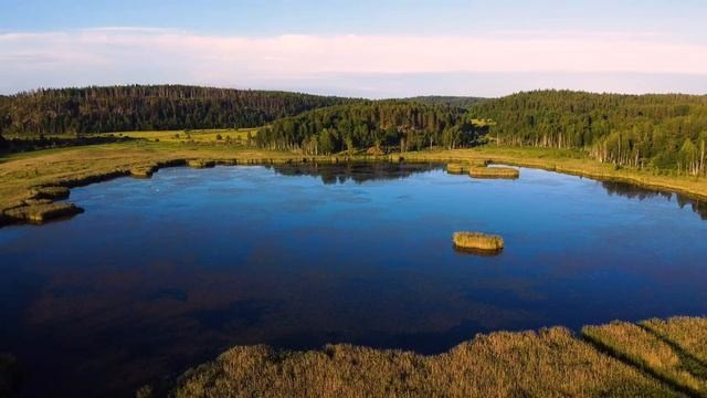 Видео. Павел Шарапов | Фотограф | Москва