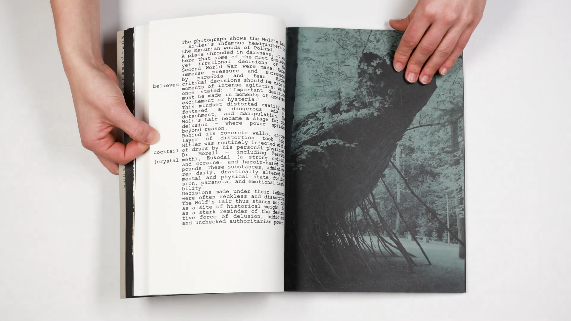 Книга «Dear parents, please send me bacon and Pervitin» художницы Уши Гроос. Private image