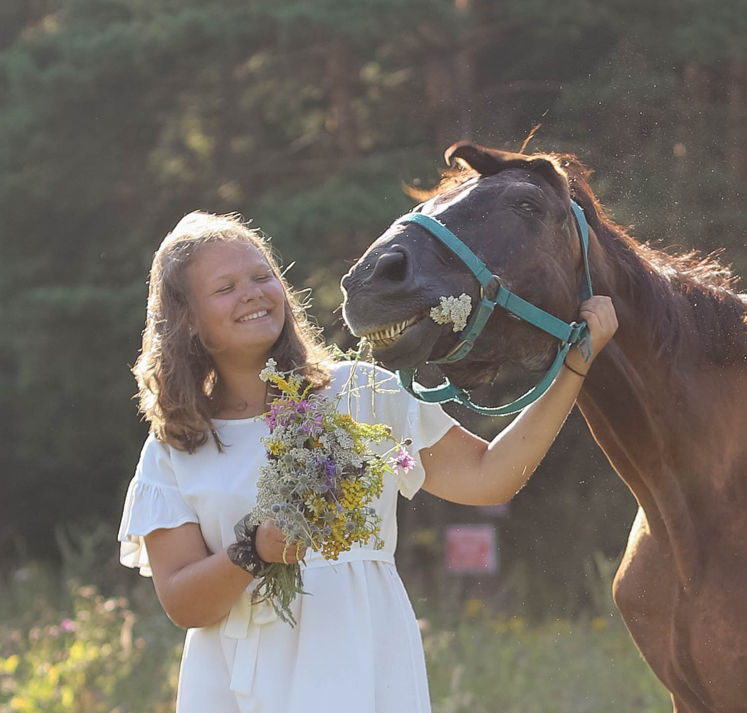 Коротко о главном