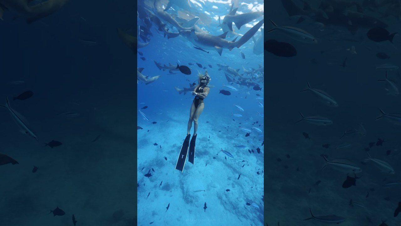 Создание сайта для Velaa Trips (Мальдивы) — Антон Аванзато