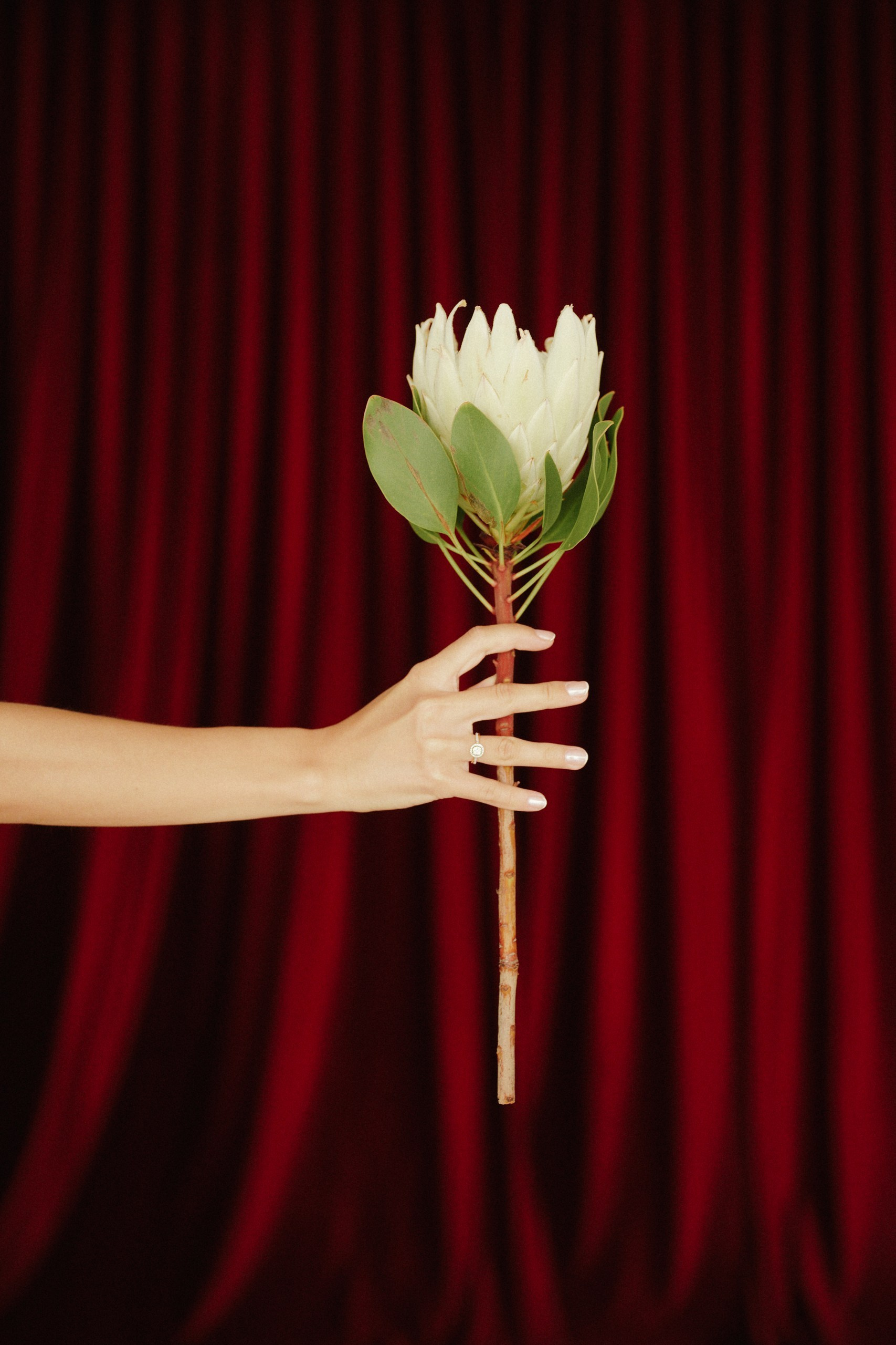 Дима и Ксюша. Организатор мероприятий в Абакане I Ольга Петухова