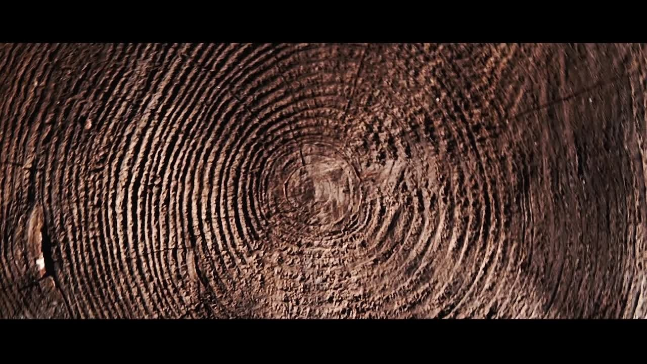 COMMERCE. Миша Снимет | твой фотограф