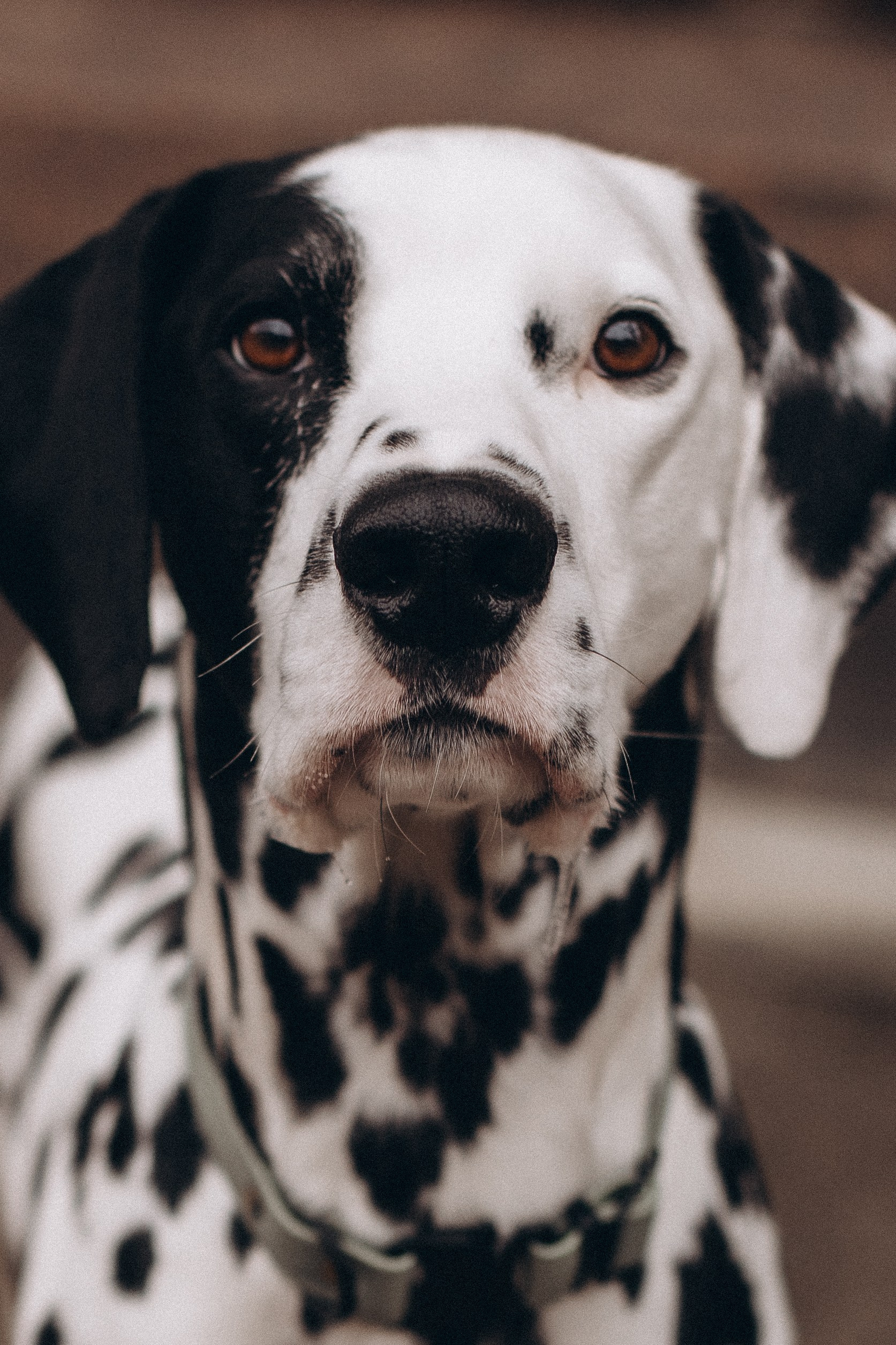 Таня и Эскель