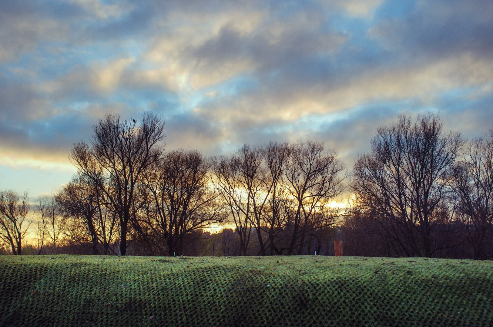 Руслан Шувалов (поэтограф)