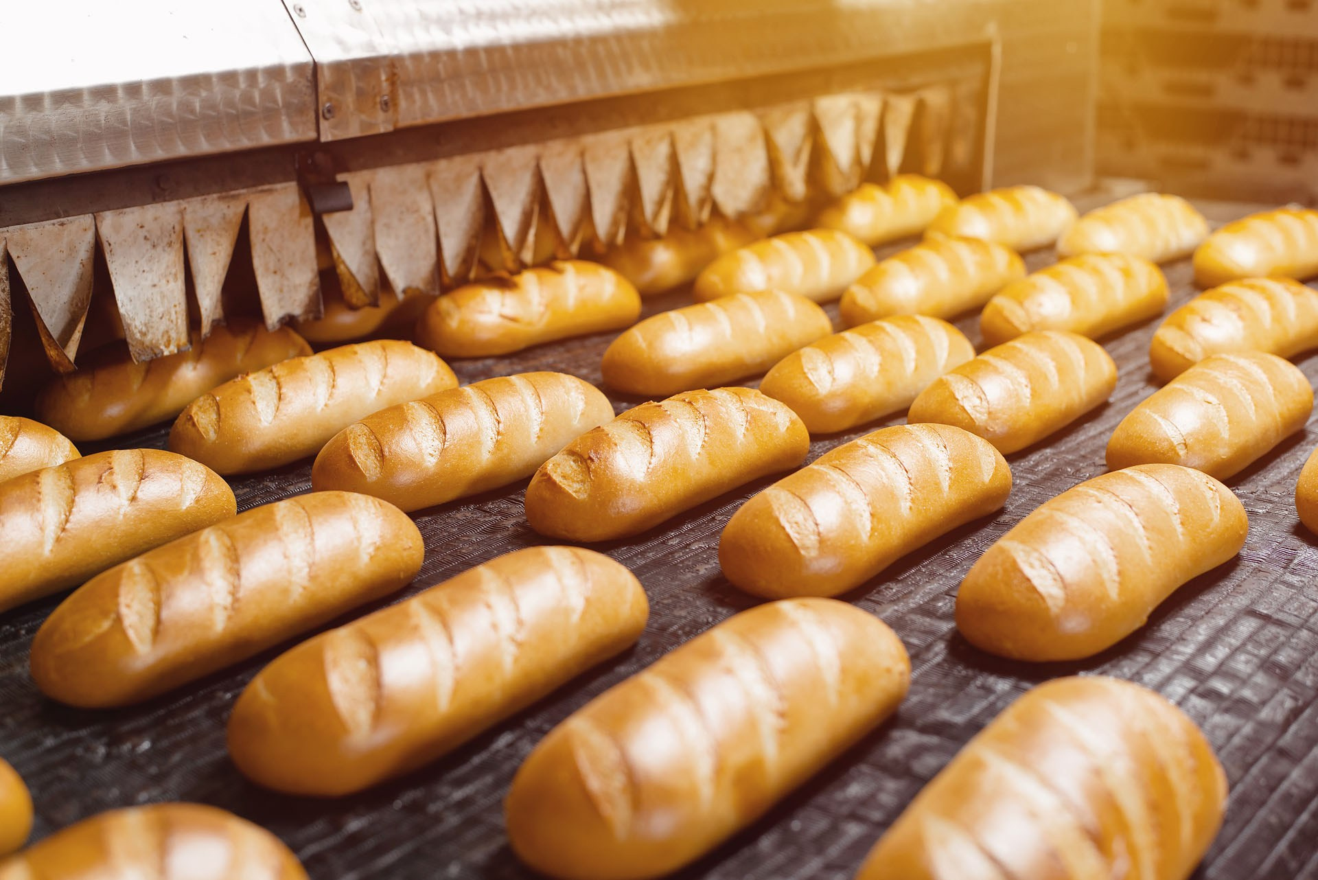 Промышленная съемка, съемка бизнеса и сферы услуг в Ростове-на-Дону