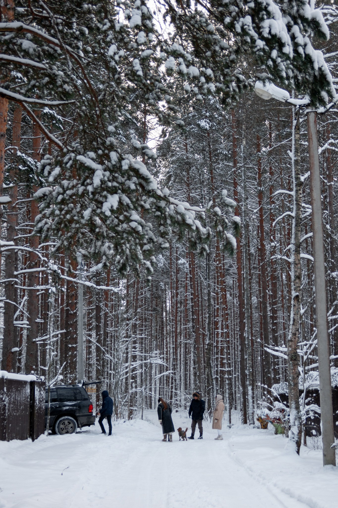 Новогодняя поездка в Санкт-Петербург. Павел Шарапов | Фотограф | Москва