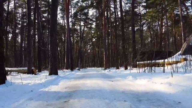 Видео. Павел Шарапов | Фотограф | Москва