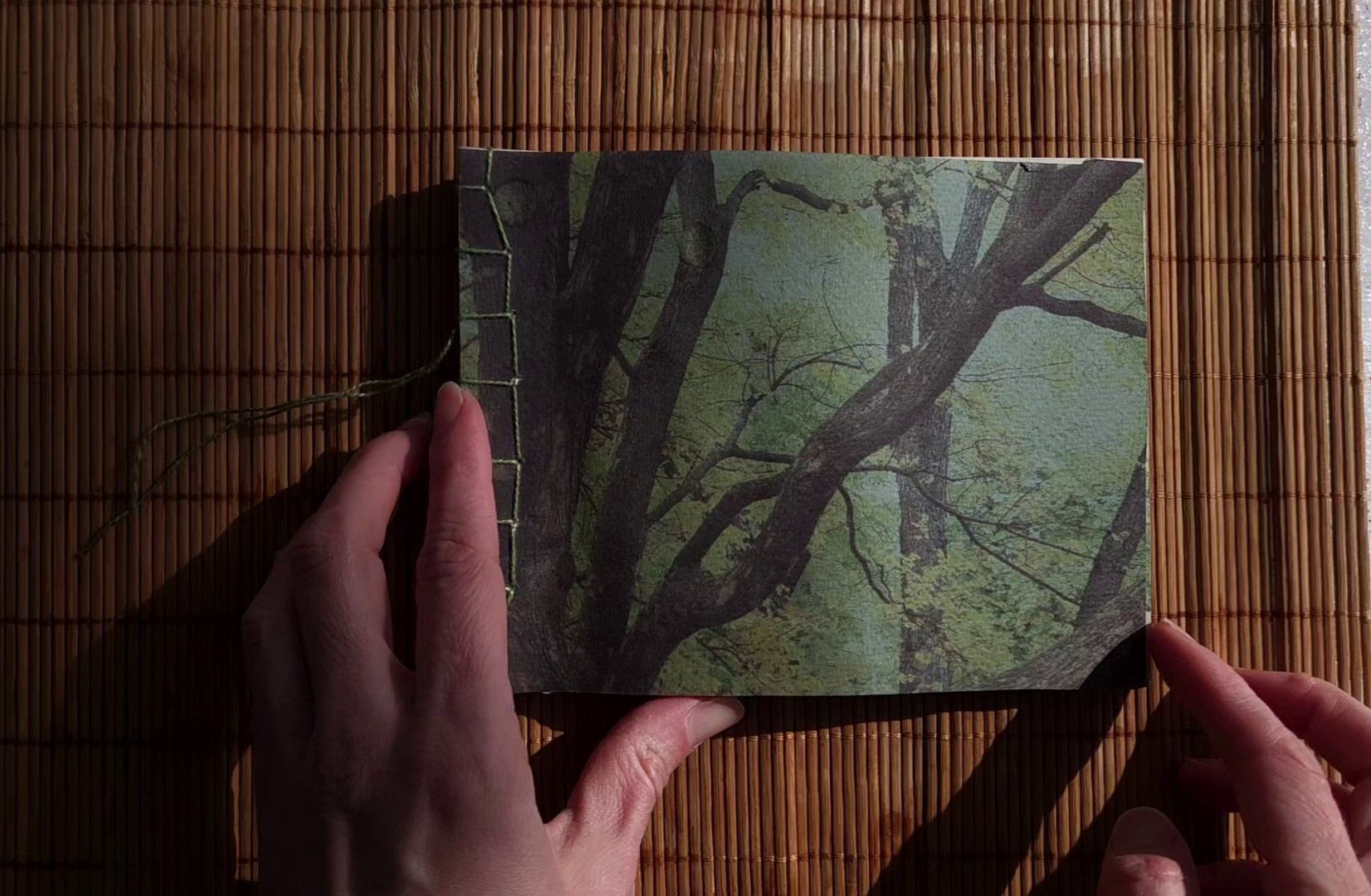 Понедельник 6. Книжная форма. Artist's book. …