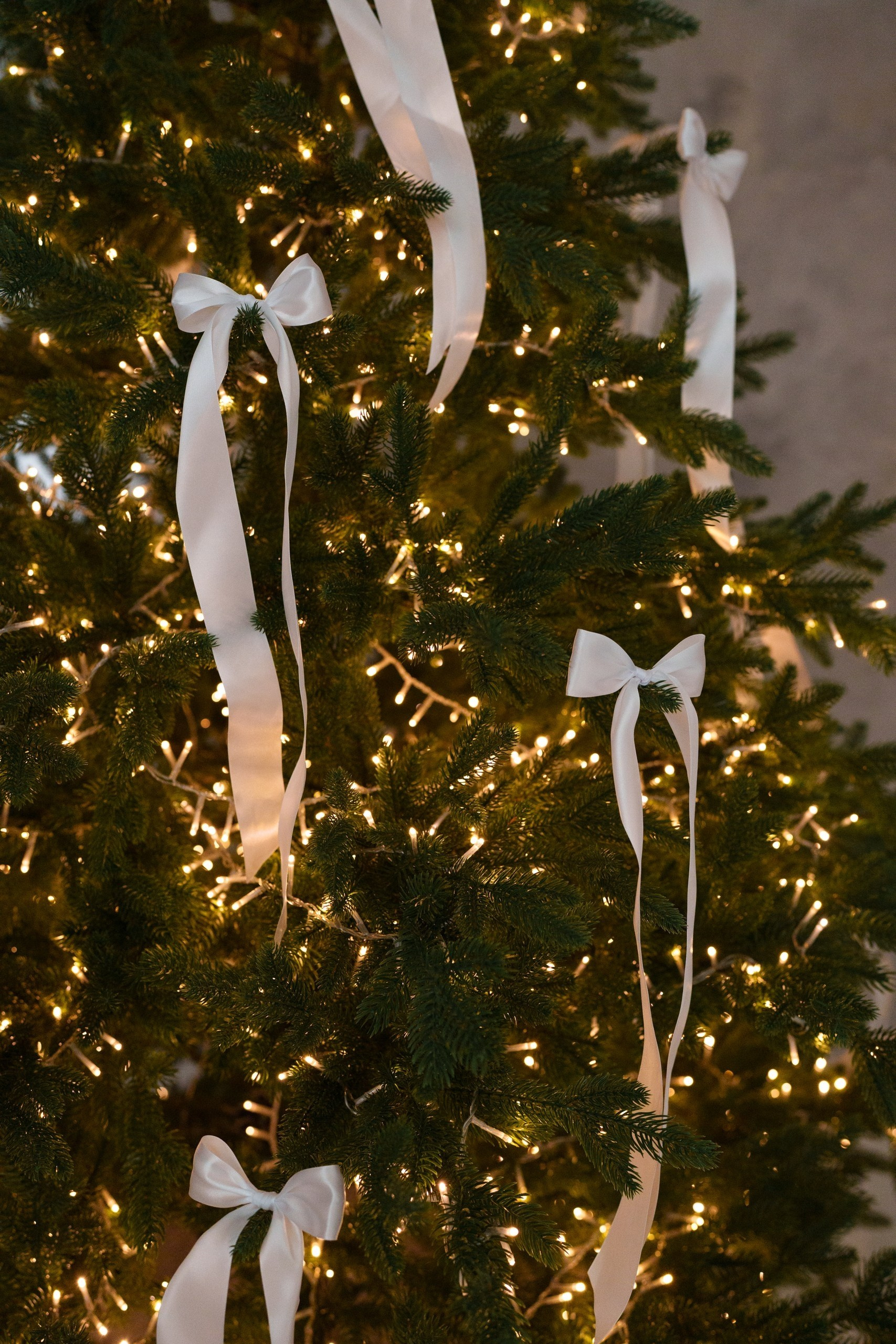 Новогодние фотосессии 2025-2026. Свадебный фотограф Катерина Корнева Красноярск