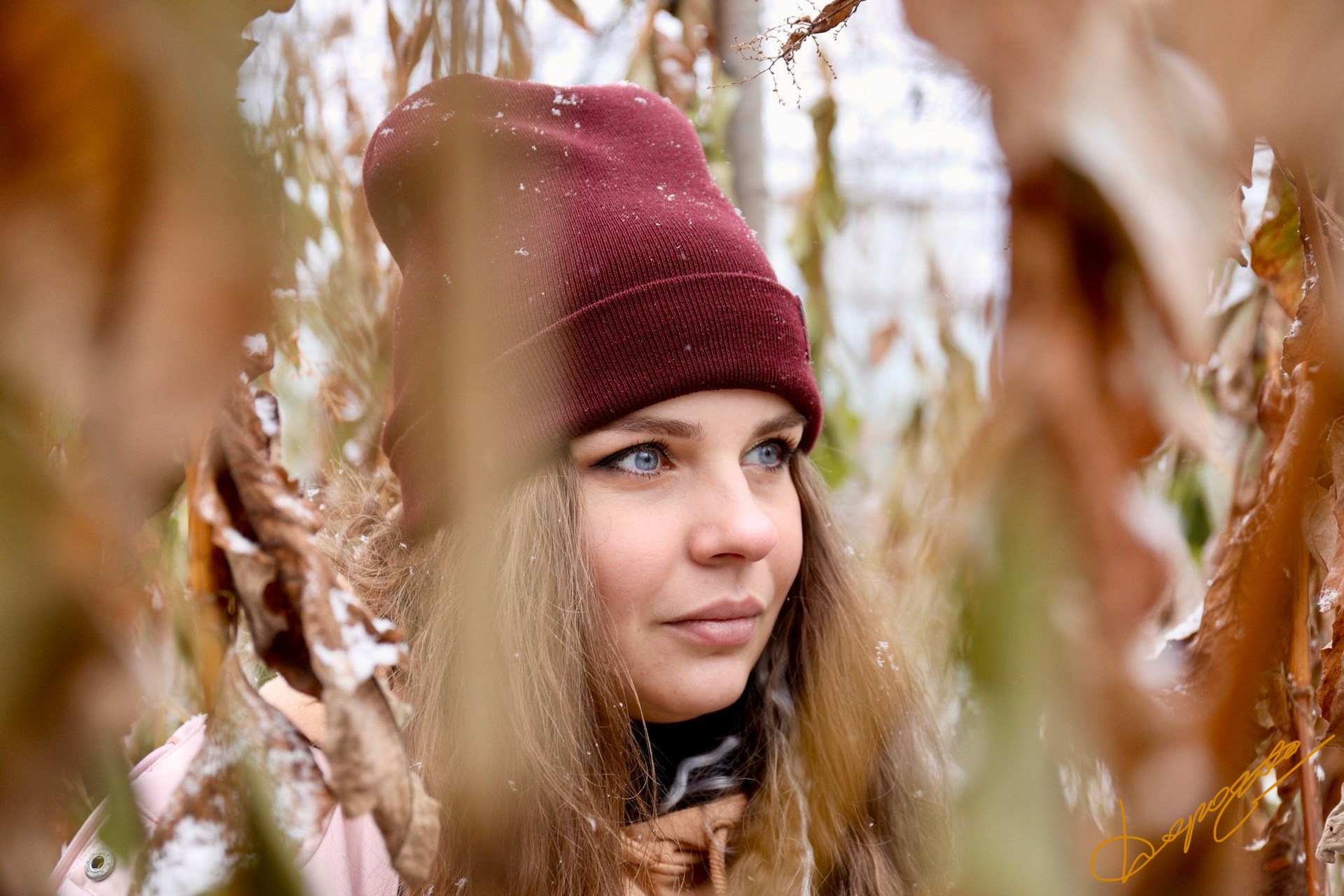 Фотограф Серега Дорога