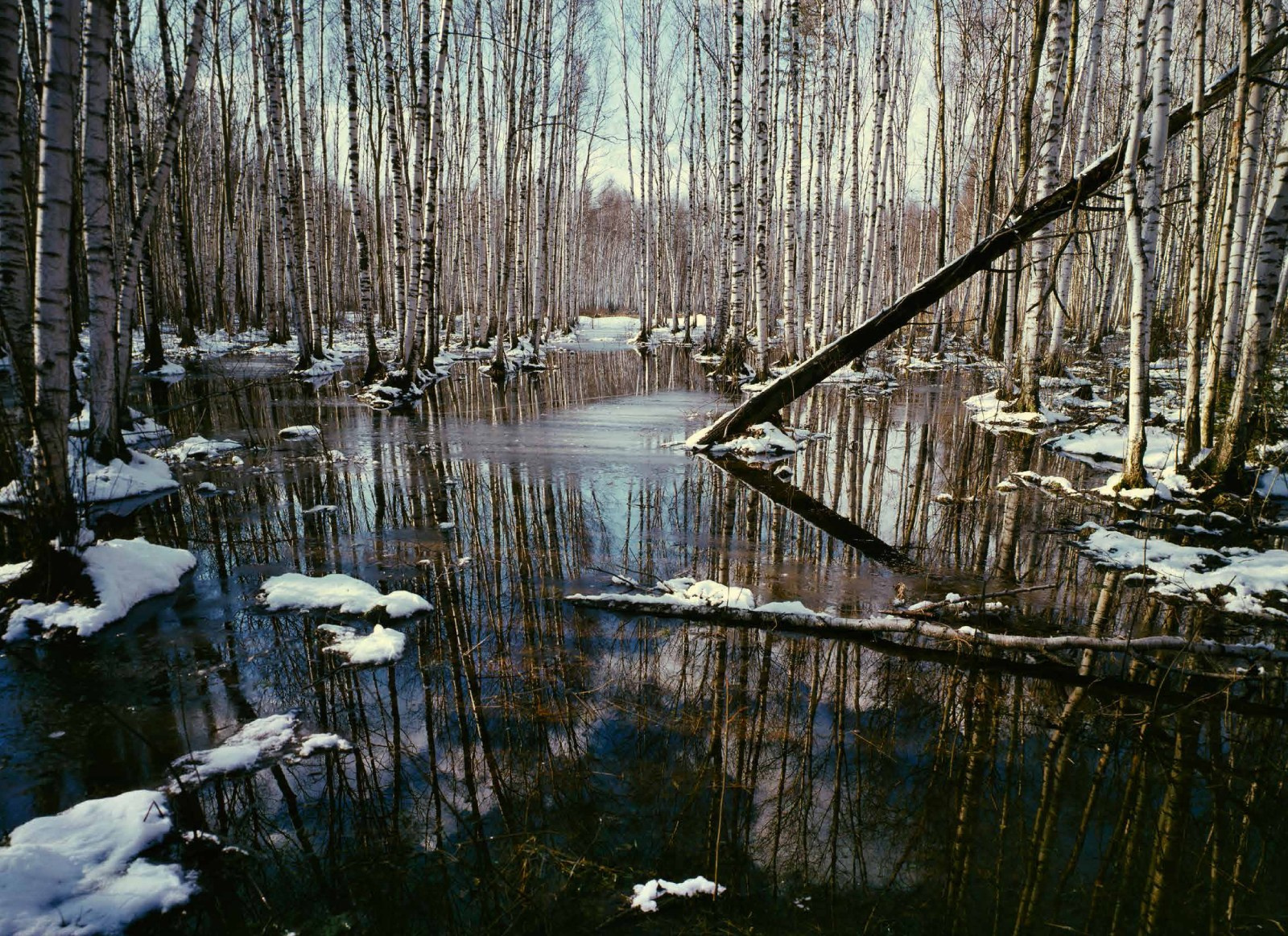 Коллекционные альбомы. ВАДИМ ГИППЕНРЕЙТЕР — ВЕЛИКИЙ ФОТОГРАФ ЗЕМЛИ РУССКОЙ