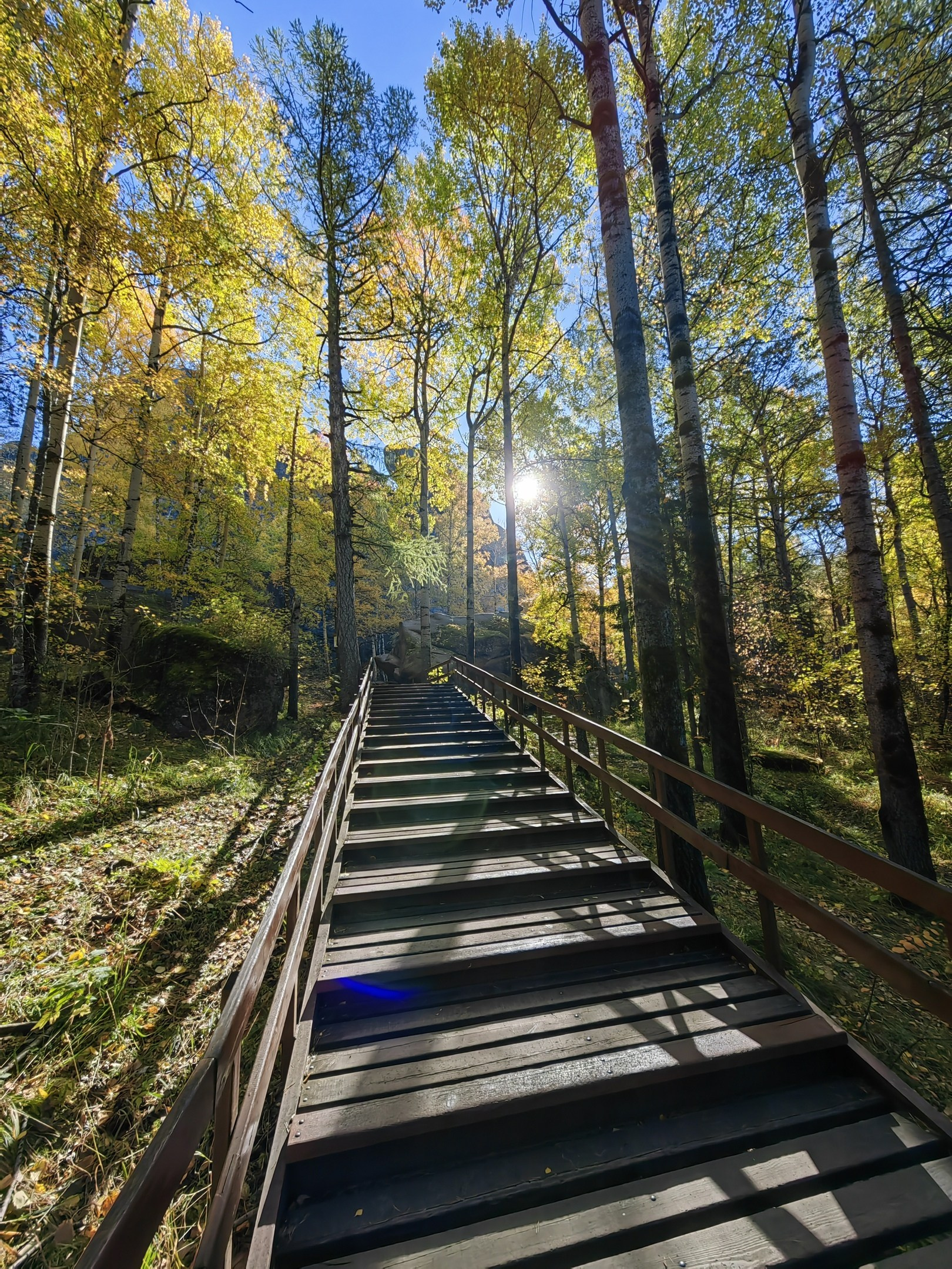 Экскурсия фото тур Национальный парк заповедник Красноярские столбы фотосессия маршрут путешествие личный гид Красноярск