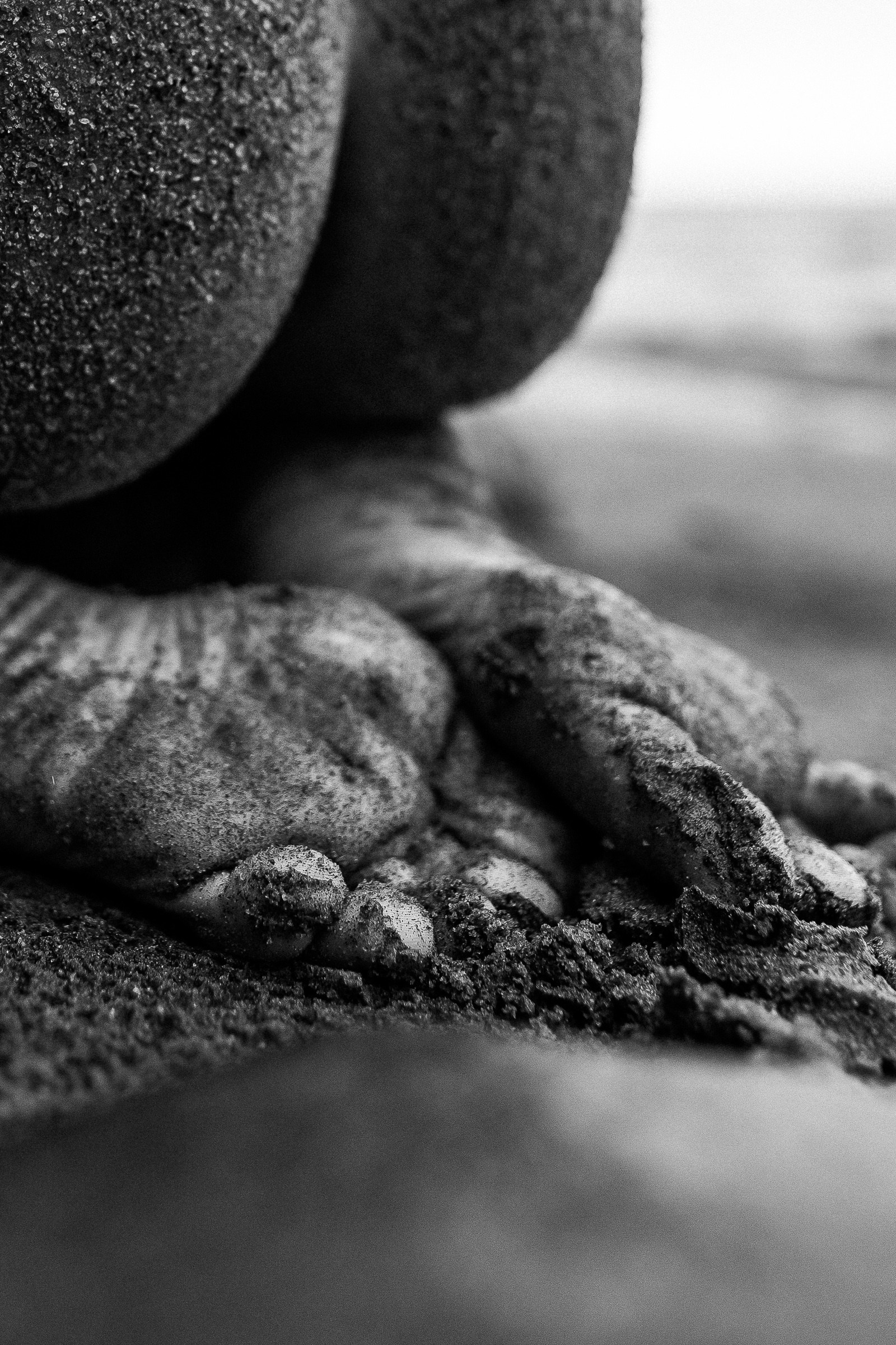 КУПИТЬ ПРИНТЫ. Контент-фотограф в Санкт-Петербурге Александра Бородина