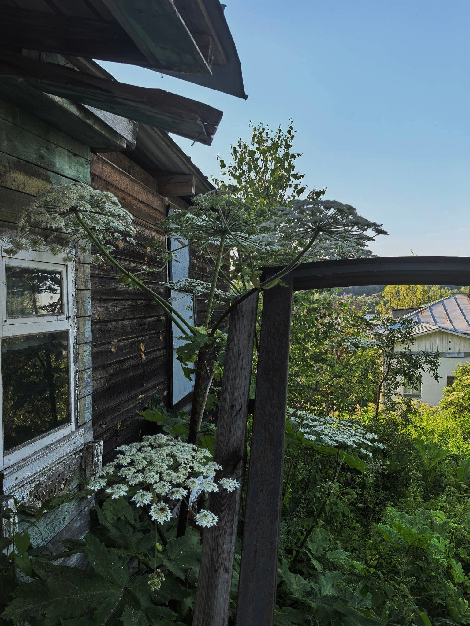 Плёс — лучший туристический город. Купить картину на холсте для интерьера|художник | дизайнер | архитектор Сергей Ратчин в Москве