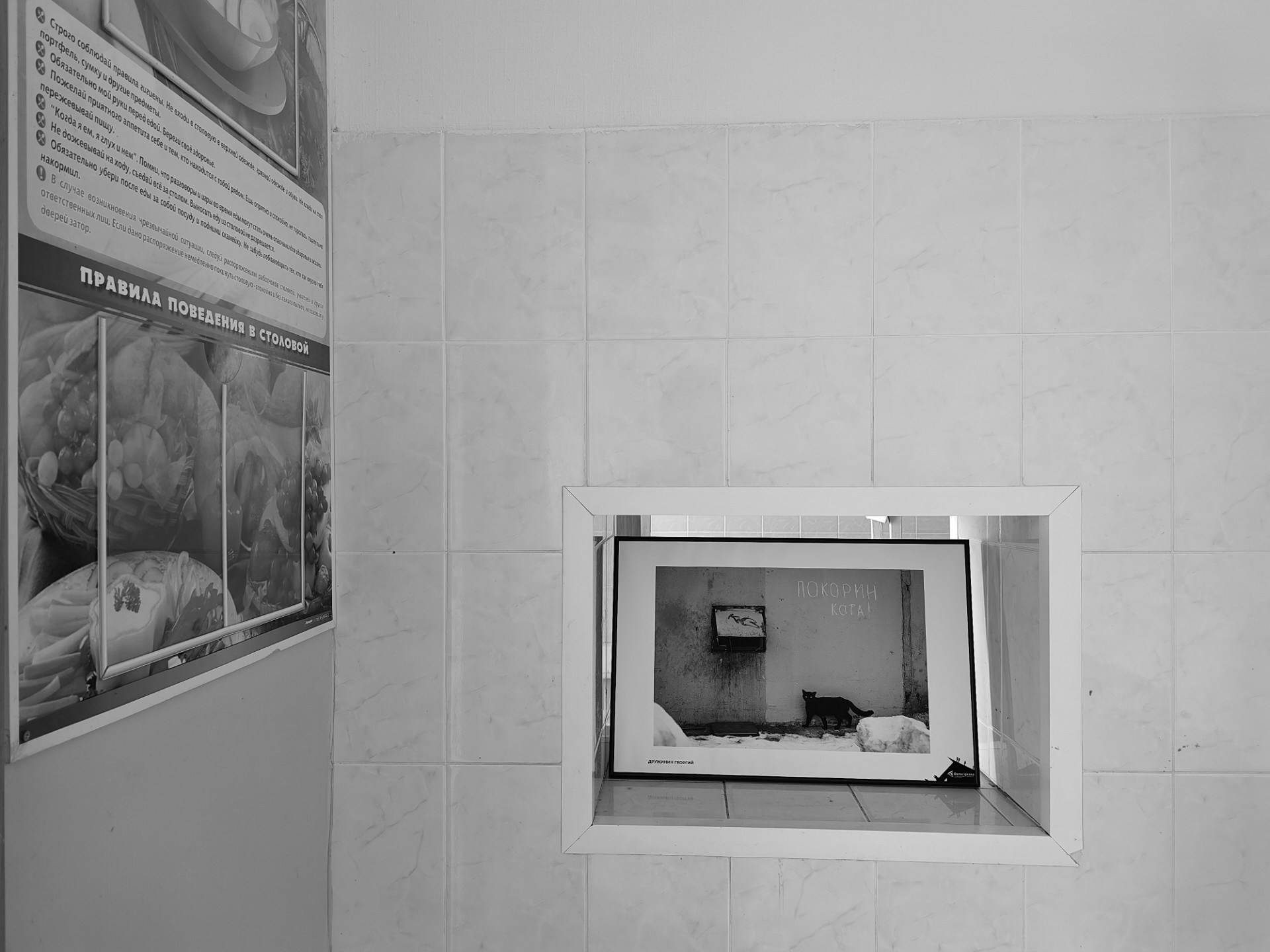 Медынь 12.06.2024. Фотострелка