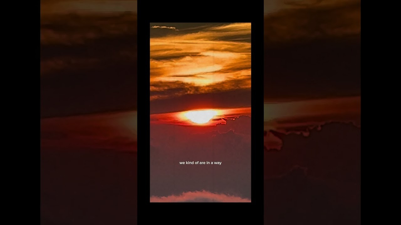 Filming life. POLINA MÔMOT