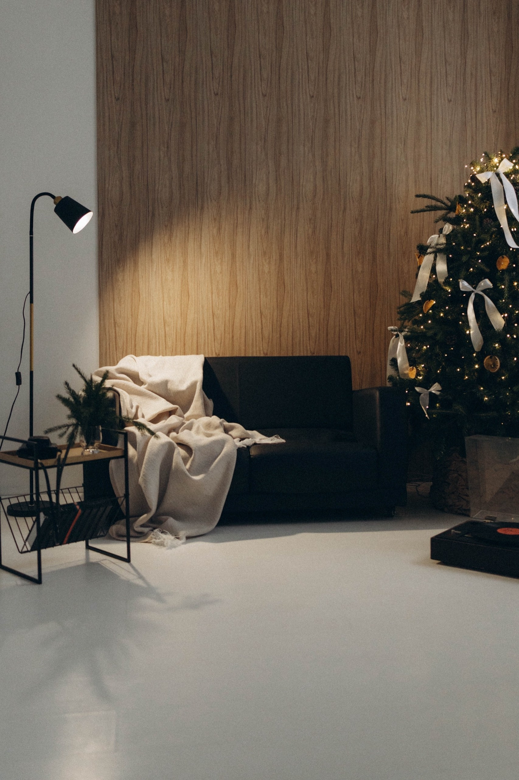 Новогодняя экспресс фотосессия. Фотограф Надежда Сухомлина