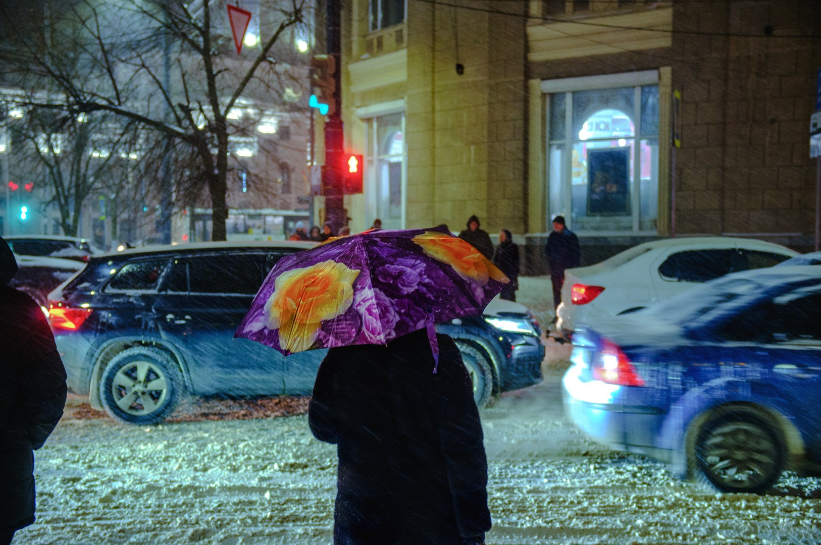 Воронеж. Зима. Снег. Метель