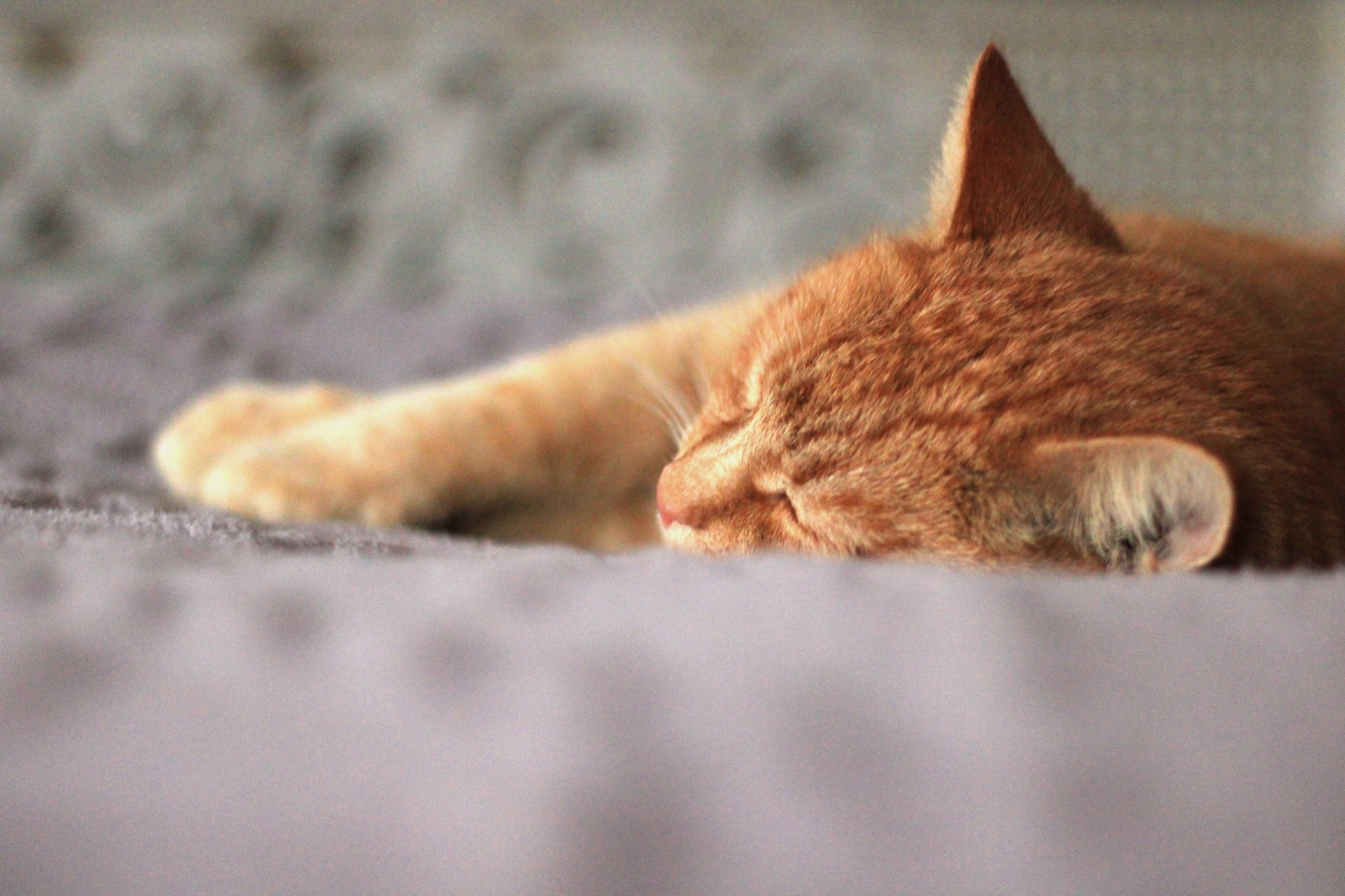 Катя Попова|ЛайфСтайл фотограф